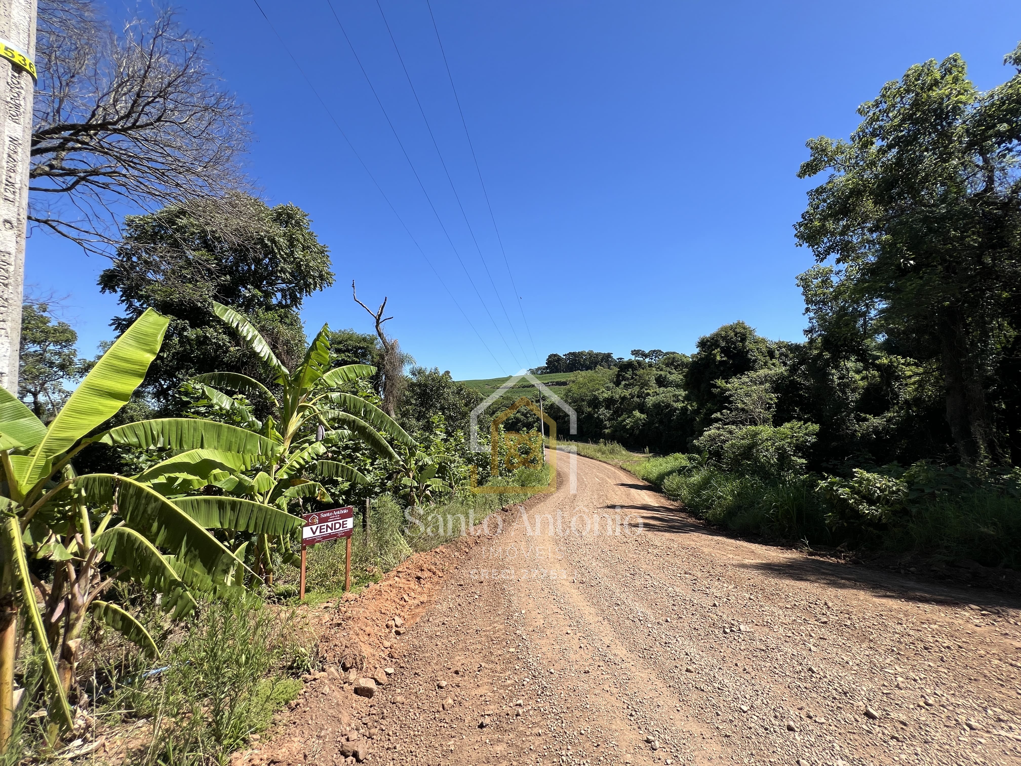 Sítio à venda - Capela São Carlos