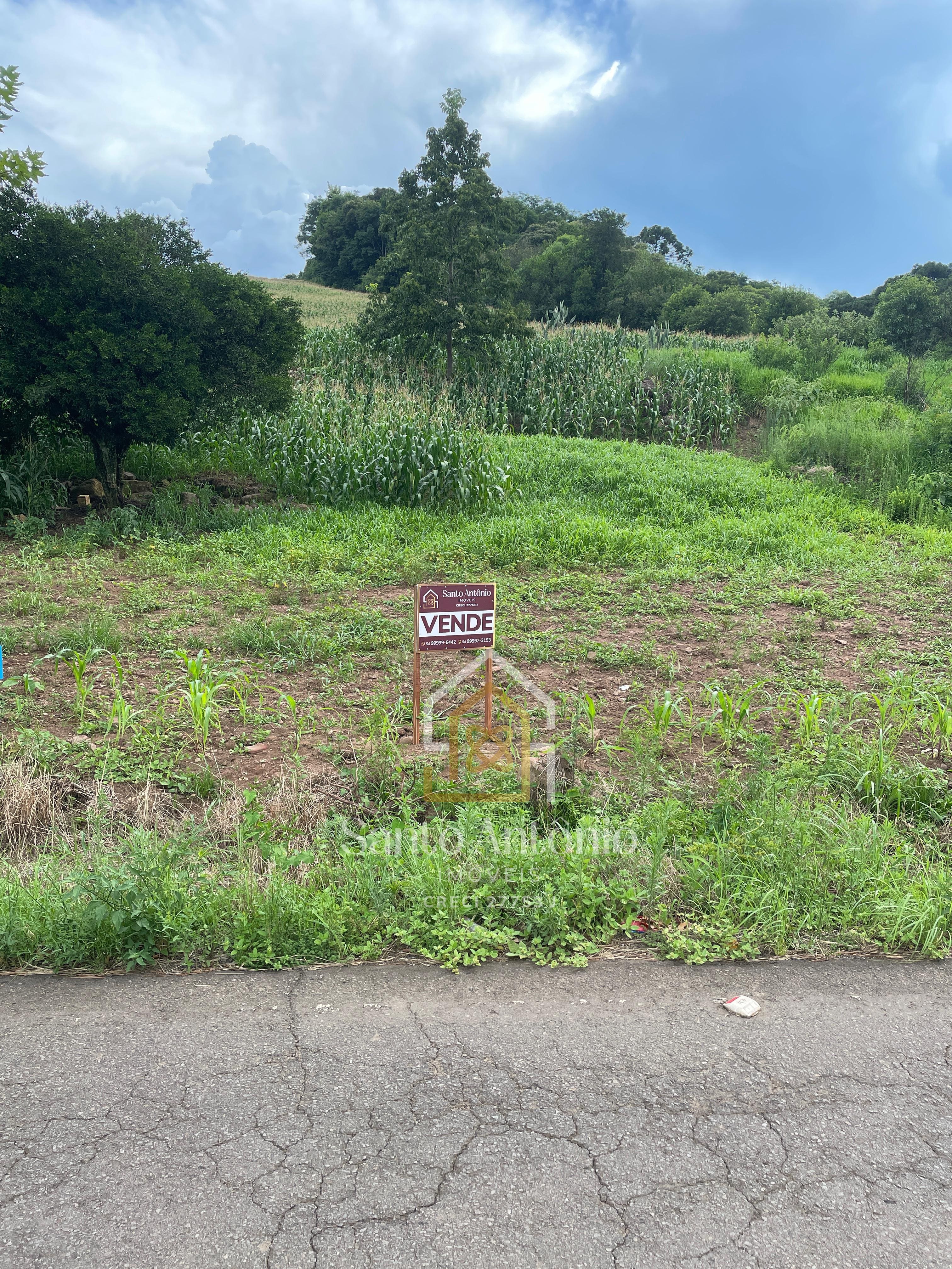 Terreno para Sítio - Capela São João